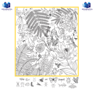 Bystre oczko 4 PORY ROKU